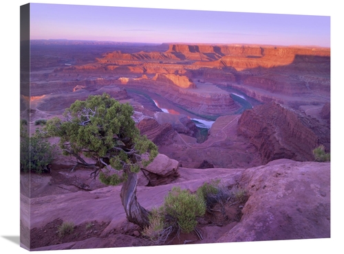 Global Gallery GCS-396900-2228-142 22 x 28 in. Colorado River Flowing 