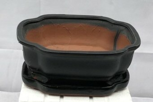 Black Ceramic Bonsai Pot - RectangleWith Humidity Drip Tray10.5" x