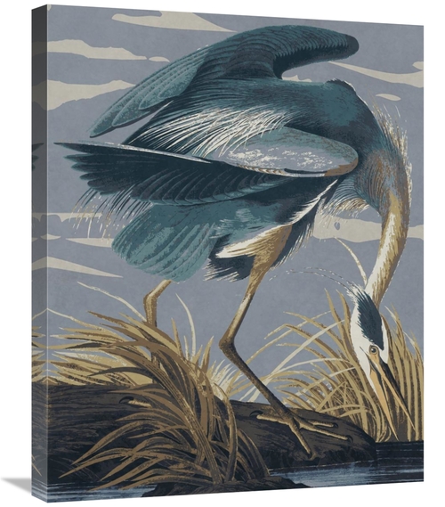 Global Gallery GCS-394762-2228-142 22 x 28 in. Audubon Decor - Great B