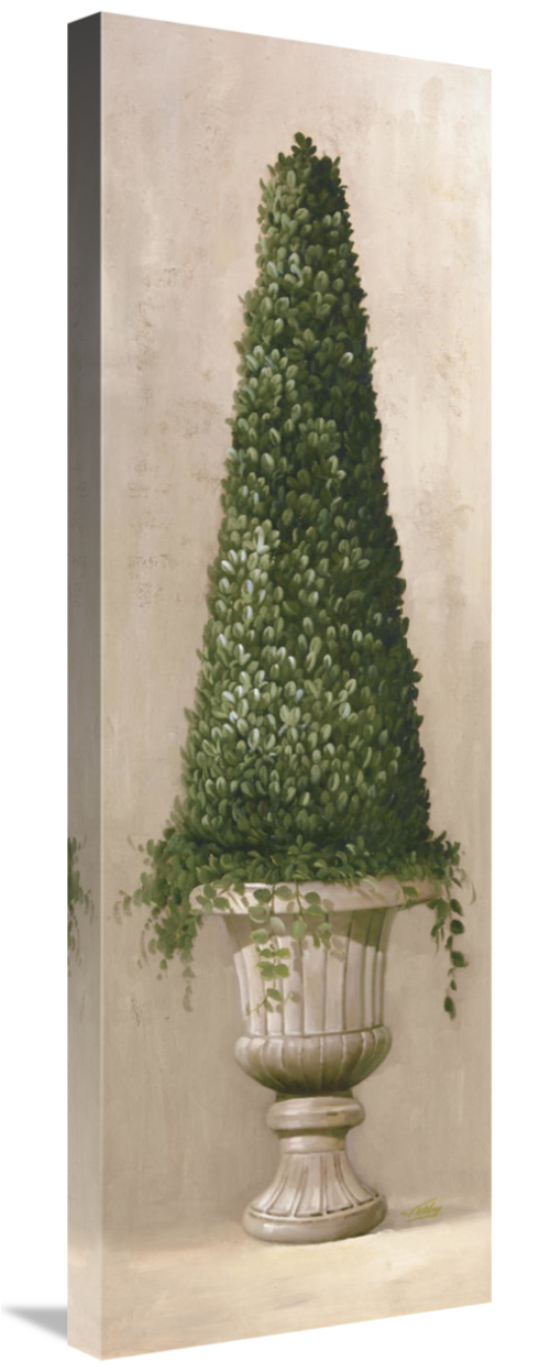 Global Gallery GCS-119341-1236-142 12 x 36 in. Florentine Topiary II A