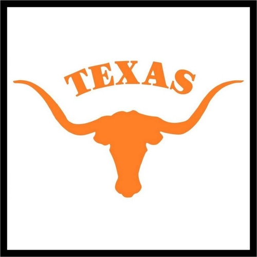 3 Inch Cloth  Patch Texas Longhorns