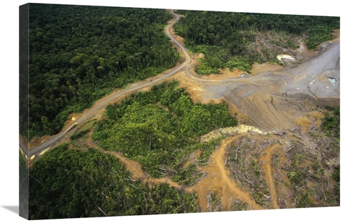 Global Gallery  20 x 30 in. Logging Erosion in Lowland Tropical Rainfo