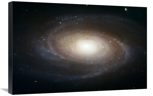 Global Gallery GCS-455993-2030-142 20 x 30 in. Spiral Galaxy M81 Art P