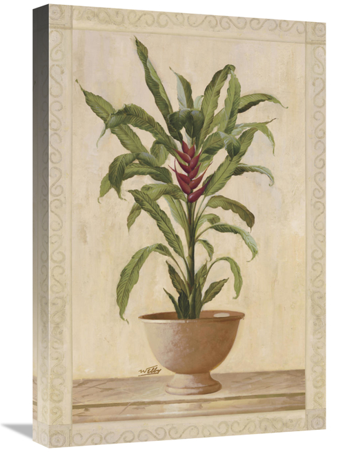 Global Gallery GCS-121181-1624-142 16 x 24 in. Potted Palm II Art Prin