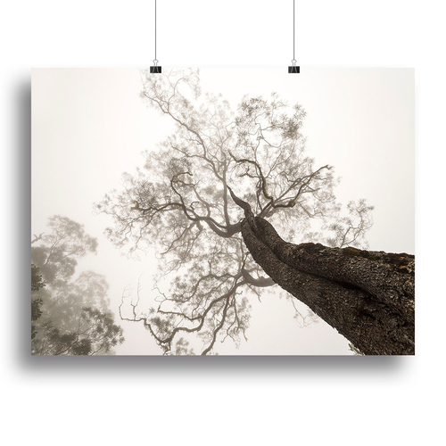Between Heaven And Earth Canvas Print or Poster