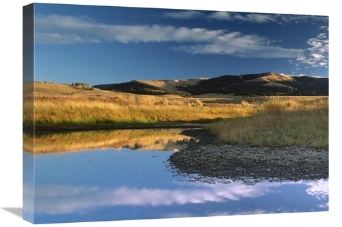 Global Gallery GCS-396717-1824-142 18 x 24 in. Absaroka Range & Slough