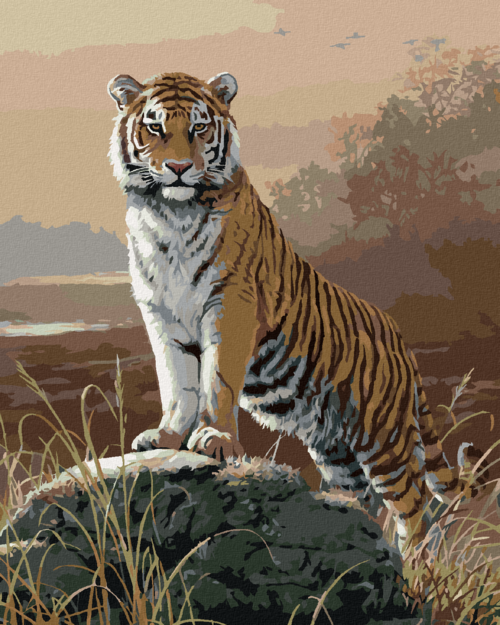 Zuty - Paint by Numbers â€“ MAJESTIC TIGER (JOE HAUTMAN), 40x50 cm