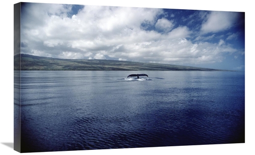 Global Gallery GCS-450579-2030-142 20 x 30 in. Humpback Whale Tail Sla