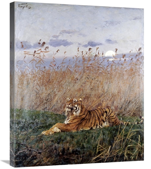 Global Gallery GCS-267516-30-142 30 in. Tiger in the Rushes Art Print 