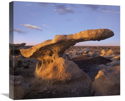 Global Gallery GCS-396606-22-142 22 in. Eroded Rock, Bisti Badland