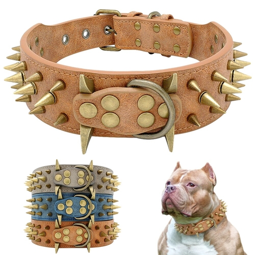2" Width Spiked Studded Dog Collar for Medium