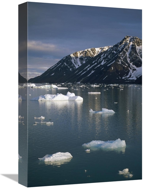 Global Gallery GCS-451338-1218-142 12 x 18 in. Ice Floes in Evening Li