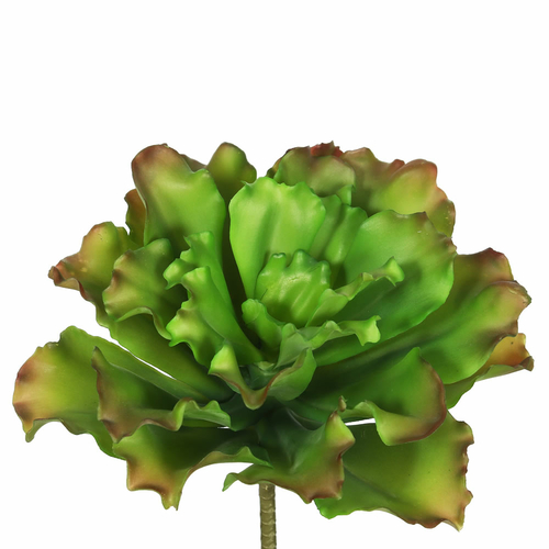 Green & Brown Big Romaine Succulent - Pack of 3