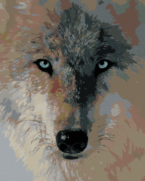 Zuty - Paint by Numbers â€“ WOLF'S GAZE (COLLIN BOGLE), 40x50 cm