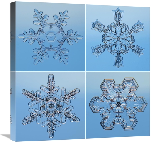 Global Gallery GCS-397283-2424-142 24 x 24 in. Snowflakes Seen Through