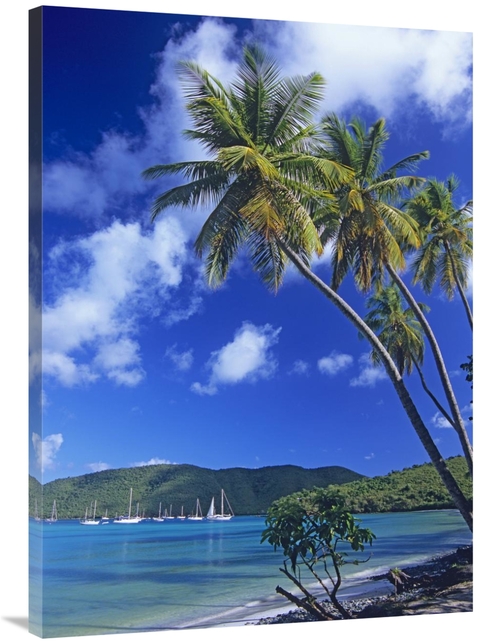 Global Gallery GCS-452105-3040-142 30 x 40 in. Palm Trees At Maho Bay&