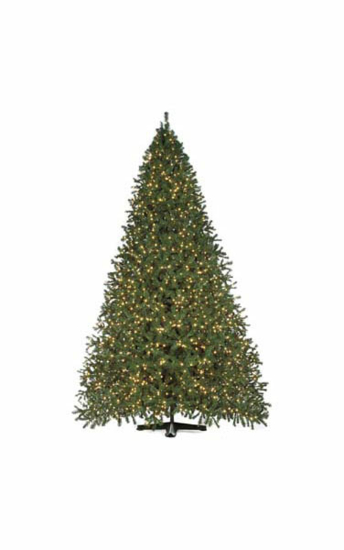 Autograph Foliages C-2824-2 15 ft. Virginia Pine Tree, Green