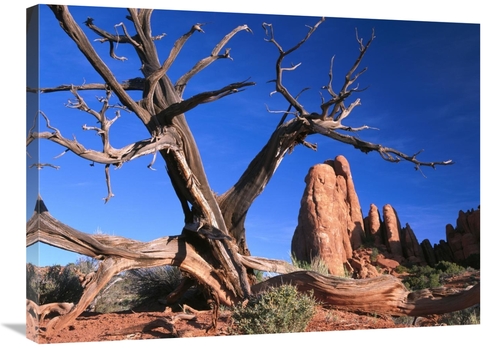 Global Gallery GCS-452032-2432-142 24 x 32 in. Snag At Fiery Furnace L