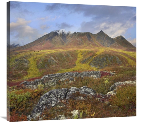 Global Gallery GCS-396450-36-142 36 in. Cloudy Range, Tombstone Te