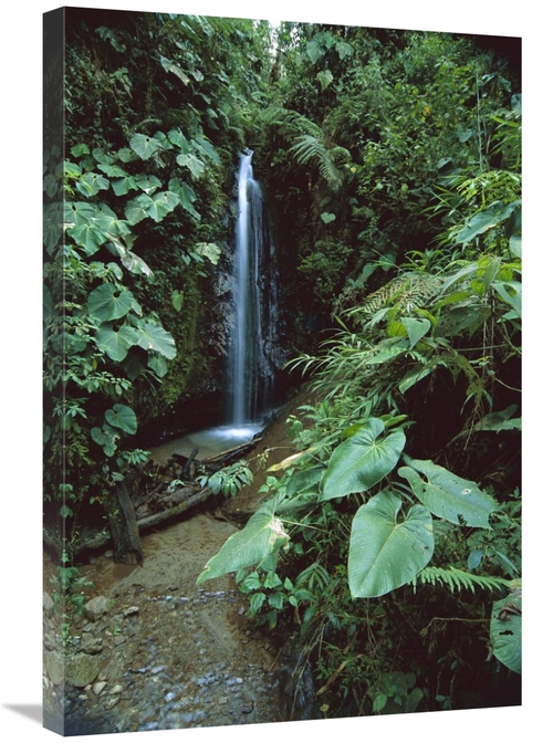 Global Gallery GCS-451644-2030-142 20 x 30 in. Andean Cloud Forest&#44