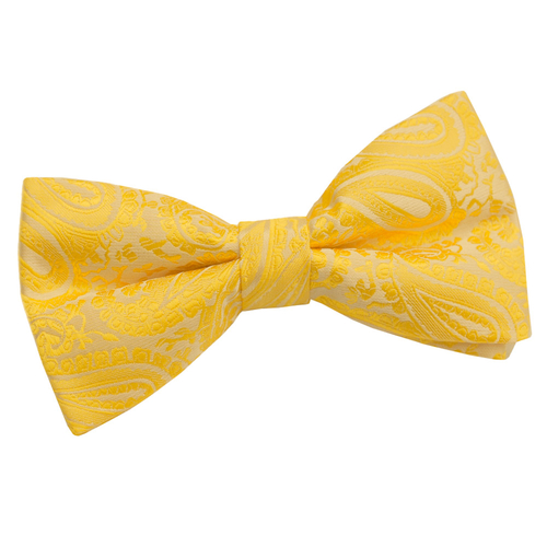 Paisley Pre-Tied Bow Tie - Gold