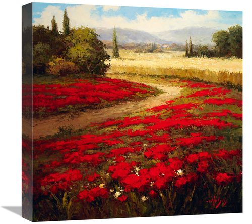 Global Gallery GCS-132507-1818-142 18 x 18 in. Red Poppy Trail Art Pri