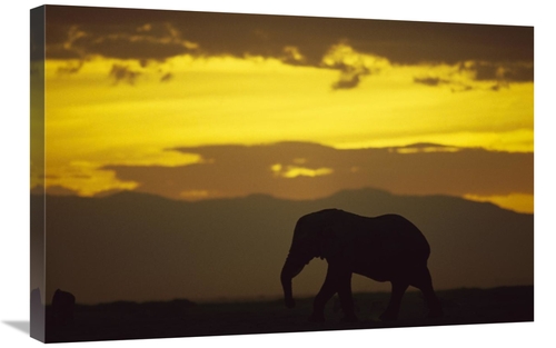 Global Gallery GCS-452792-2030-142 20 x 30 in. African Elephant Silhou