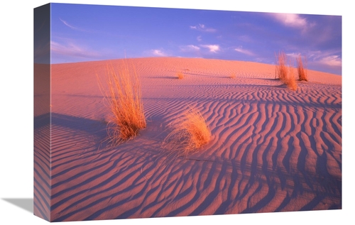 Global Gallery GCS-396417-1216-142 12 x 16 in. Gypsum Dunes, Guada