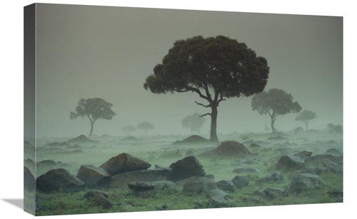 Global Gallery GCS-396140-1624-142 16 x 24 in. Rain Storm on the Seren