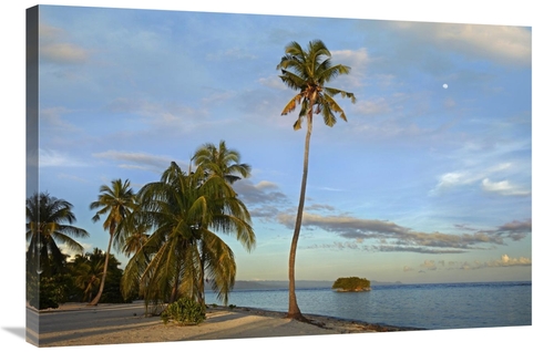 Global Gallery GCS-396348-2436-142 24 x 36 in. Coconut Palm Trees on P