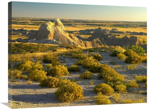 Global Gallery GCS-397096-2432-142 24 x 32 in. Coyote Bush & Eroded Fe