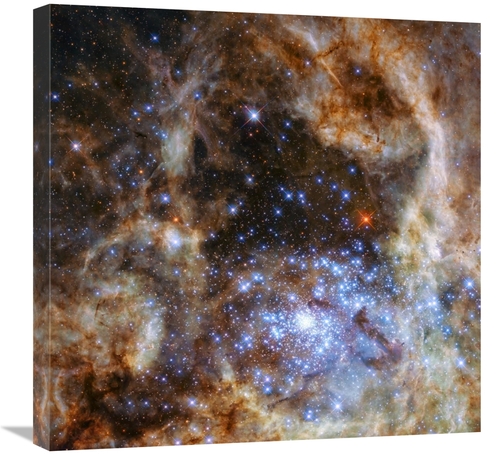 24 x 24 in. Star Cluster R136 Art Print - NASA