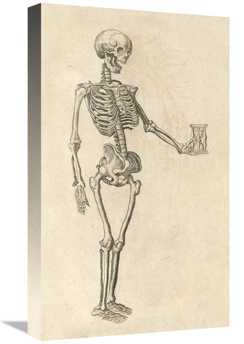 Global Gallery GCS-454961-22-142 22 in. Human Skeleton with Hourglass 