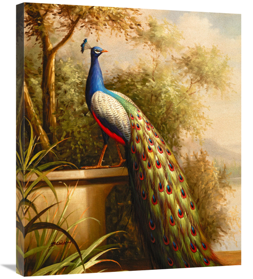 Global Gallery GCS-132589-30-142 30 in. Regal Peacock Art Print - Blum