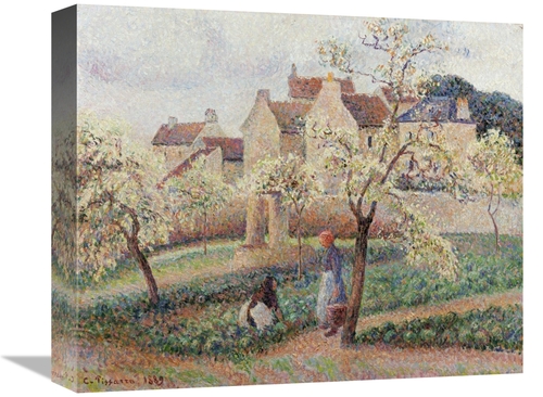 Global Gallery GCS-267031-16-142 16 in. Plum Trees in Blossom Art Prin