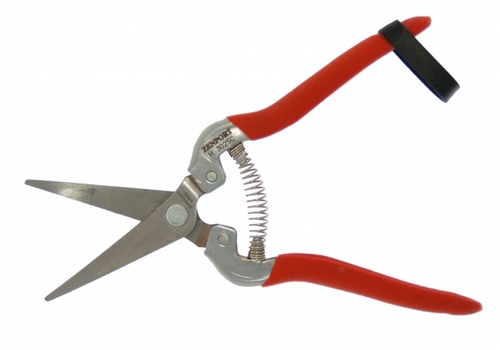 Zenport H302SC-12PK Harvest Bunch Cutter Curved Stainless- Box of 12