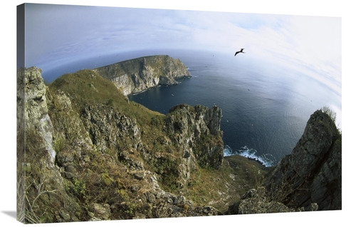 Global Gallery GCS-451561-2436-142 24 x 36 in. Red-Footed Booby & Swal