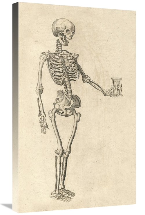 Global Gallery GCS-454961-30-142 30 in. Human Skeleton with Hourglass 