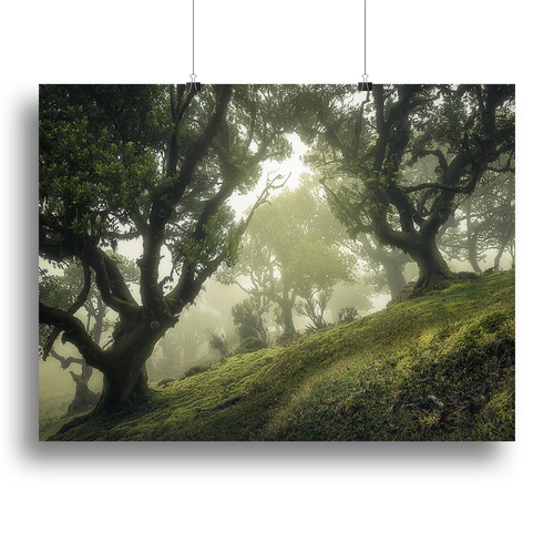 Enchanted Forest Canvas Print or Poster