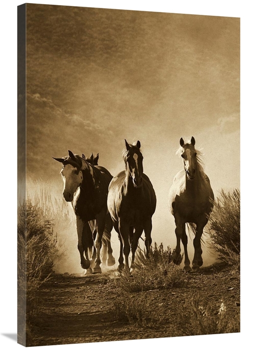 Global Gallery GCS-453704-2436-142 24 x 36 in. Horse Group of Four App