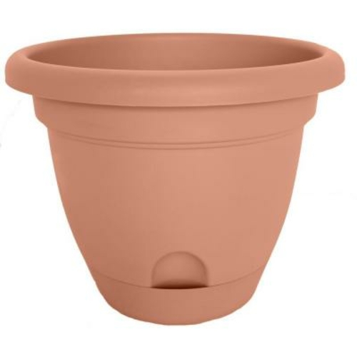 Bloem LP0846 8 in. Lucca Planter, Terra Cotta