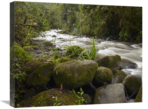 Global Gallery GCS-396289-2024-142 20 x 24 in. Mindo River Flowing Thr