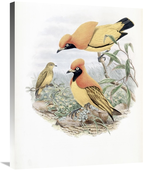 Global Gallery GCS-277760-30-142 30 in. Golden Bird of Paradise Art Pr