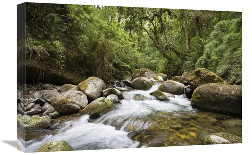 Global Gallery GCS-452663-1624-142 16 x 24 in. Savegre River Running T