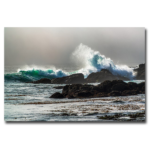 Artistic Home Gallery 2436O449IG The Wave, Long Beach by Vladimir 