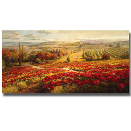Artistic Home Gallery 2448549S Red Poppy Panorama By Roberto Lombardi