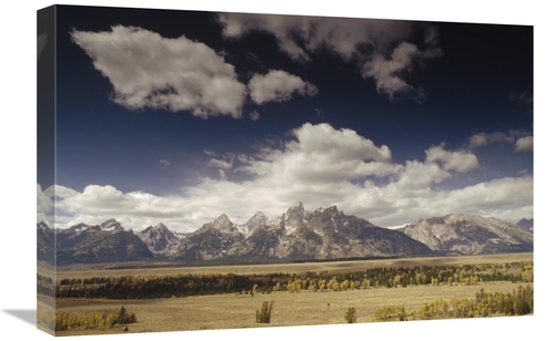 Global Gallery GCS-395766-1624-142 16 x 24 in. Teton Range, Snake 
