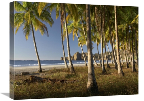 Global Gallery GCS-452184-1824-142 18 x 24 in. Palms At Playa Carrillo