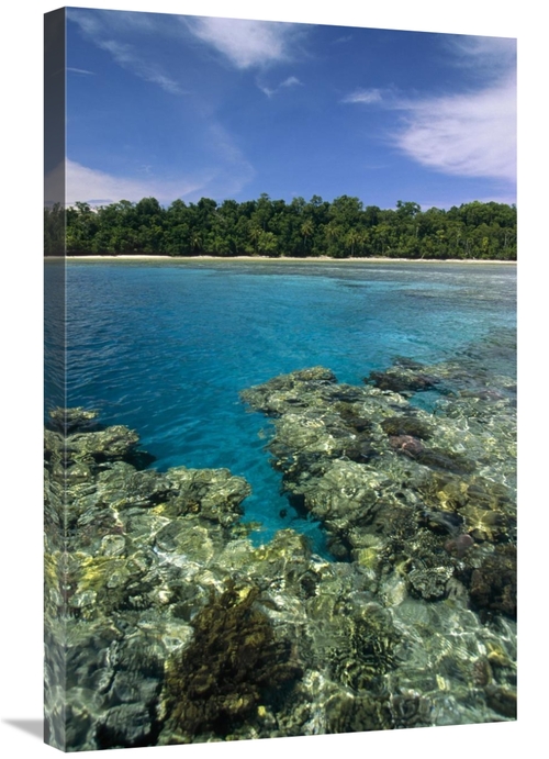 Global Gallery GCS-452343-2030-142 20 x 30 in. Coral Lagoon & Palm Lin