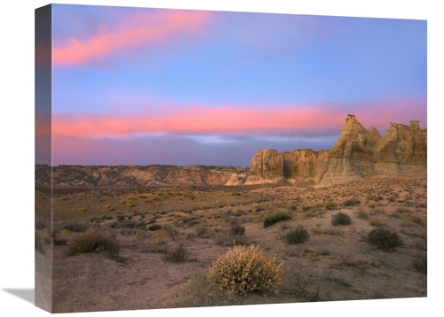 Global Gallery GCS-397123-1620-142 16 x 20 in. Sandstone Formations in